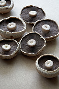 Field Mushrooms Photograph by Science Photo Library