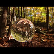 Finding A Little Magic Today During An Photograph by Craig Szymanski