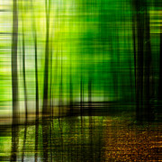 First Days In Fall Photograph by Hannes Cmarits
