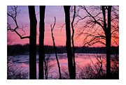 First Ice II Photograph by Dan Hefle