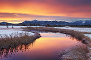 First Snow Photograph by Michael Breitung