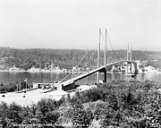 First Tacoma Narrows Bridge Photograph by Science Photo Library