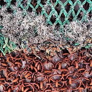 Fishing Nets #net #nicsquirrell Photograph by Nic Squirrell