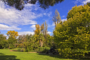 Fitzroy Gardens in East Melbourne Australia Photograph by Beverly Claire Kaiya