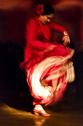 Flamenco Series 1 Photograph by Catherine Sobredo