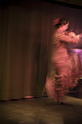 Flamenco Series 8 Photograph by Catherine Sobredo