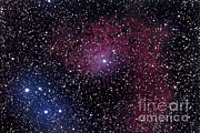 Flaming Star Nebula Region Photograph by John Chumack