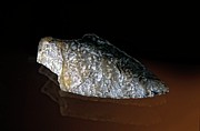 Flint Arrow-head Photograph by Science Photo Library