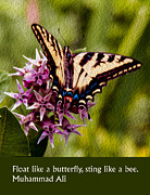 Float Like a Butterfly Painting by Omaste Witkowski