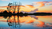 Flooded Bean Field Sunset - Weston MO Photograph by Kevin Anderson