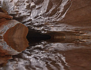 flooded Ohio cave Photograph by Flees Photos