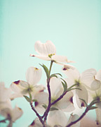 Floral Celebration Photograph by Kim Fearheiley