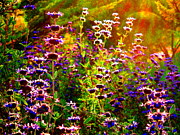 Flower Fest Photograph by Derek Dean