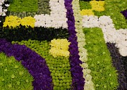 Flower Quilt Block 2  Photograph by Peggy King