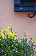 Flowers and Window Frame Glass Art by Bruce Gourley