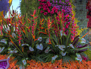 Flowers Everywhere Photograph by Mathias 