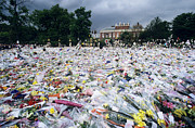 Flowers Outside Kensington Palace Photograph by Science Photo Library
