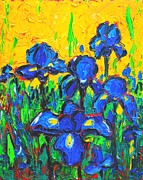 Flowers - Wild Irises Painting by Ana Maria Edulescu