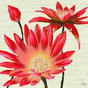 Flowers With Script I Painting by Elizabeth Medley Flowers With Script I Painting by Elizabeth Medley