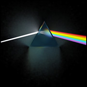 Floyd in 3D Simulation Digital Art by Meir Ezrachi