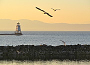 Fly By Photograph by Mike Reilly