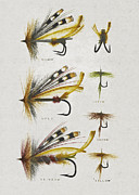 Fly Fishing Flies Digital Art by Aged Pixel