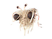 Flying Spaghetti Monster Photograph by Science Photo Library
