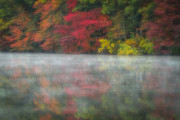 Fog and Foliage Photograph by Bryan Bzdula