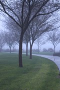 Fog Photograph by Kerri Mortenson