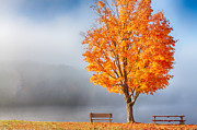 Foggy fall morning on Joe's pond Photograph by Jeff Folger