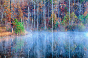 Foggy Morning Reflections Photograph by Greg Norrell