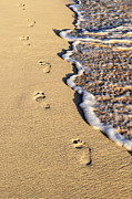 Footprints on beach Photograph by Elena Elisseeva