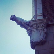 Found This Little Jem On Diversey Photograph by Jill Tuinier
