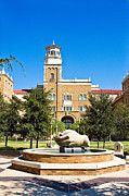 Fountain of Knowledge Photograph by Mae Wertz