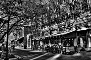 Four Market Square in Knoxville Photograph by David Patterson