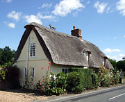 Fox on the Roof Photograph by Richard Reeve