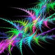 Fractal Fern Photograph by Science Photo Library