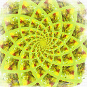 Fractal Flower Painting by Bonnie Bruno