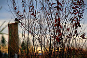 Free Photograph by Rory Siegel Free Photograph by Rory Siegel