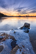 Freeze Dried Photograph by Bryan Bzdula