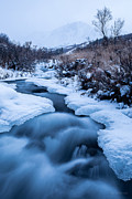 Freezing Over Photograph by Tim Newton
