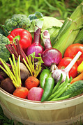 Freshly Harvested Variety Of Produce Photograph by Yinyang