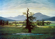 Friedrich Lone Tree, C1823 Painting by Granger