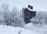 Frozen in Time Photograph by Darren White Frozen in Time Photograph by Darren White