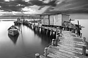Frozen melody Photograph by Jorge Maia