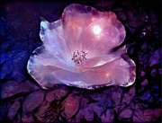 Frozen Rose Digital Art by Lilia S