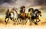 Galloping horses Full Color Digital Art by Shanina Conway
