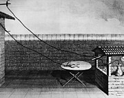 Galvani Galvanism Drawing by GRANGER Historical Picture Archive