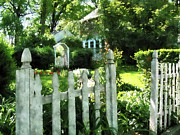 Garden Gate Photograph by Susan Savad Garden Gate Photograph by Susan Savad