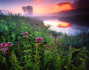 Garden on the Creek Photograph by Ray Mathis